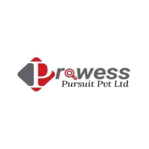 Prowess Pursuit Private Limited logo