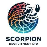 scorpion recruitment limited logo