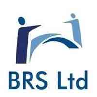 Bridgeman Recruitment Services logo
