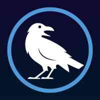 ravensearch | M&E Recruitment logo