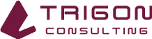 TRIGON Consulting logo