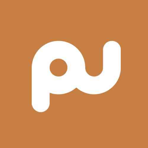 PU | Executive Search & Leadership Advisory logo