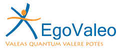 EgoValeo | Tech Head Hunting logo