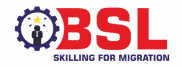BSL Group of Companies logo