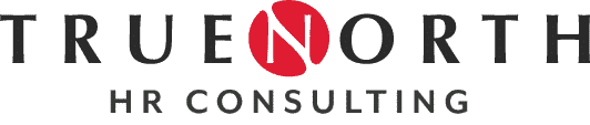 True North HR Consulting logo
