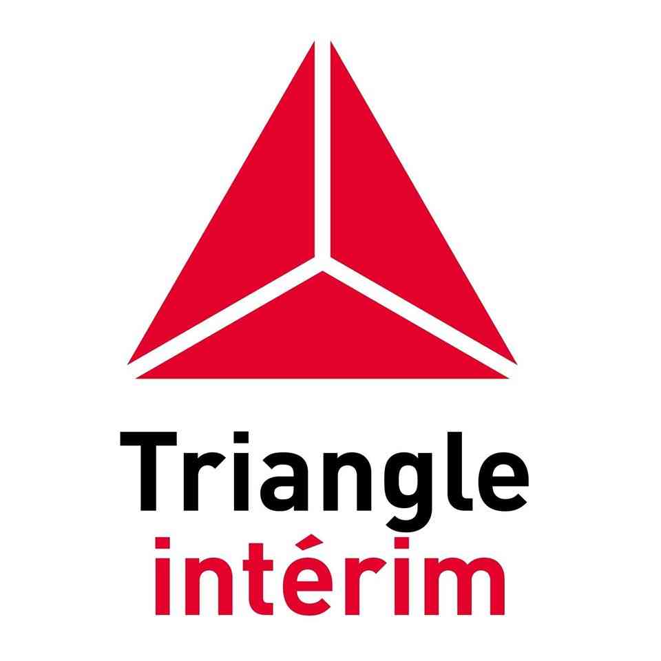 Triangle Interim logo