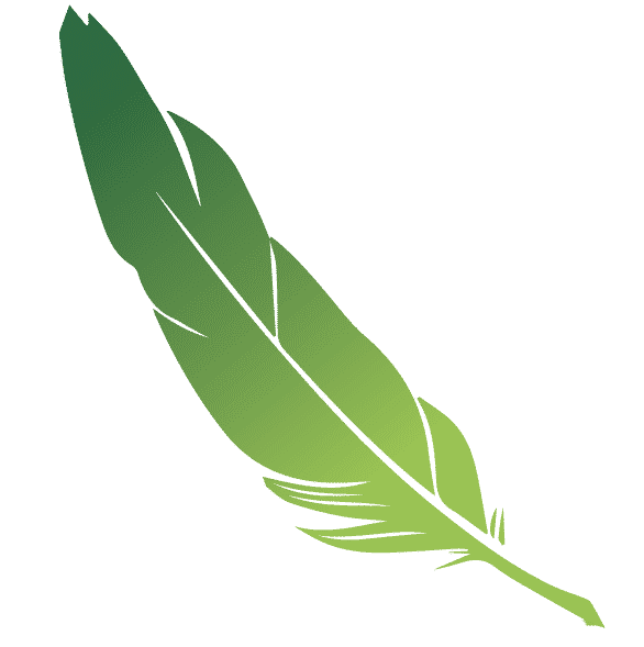 Esquisse Conseil logo