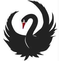 Black Swans Exist logo