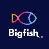 Big Fish Group Limited logo