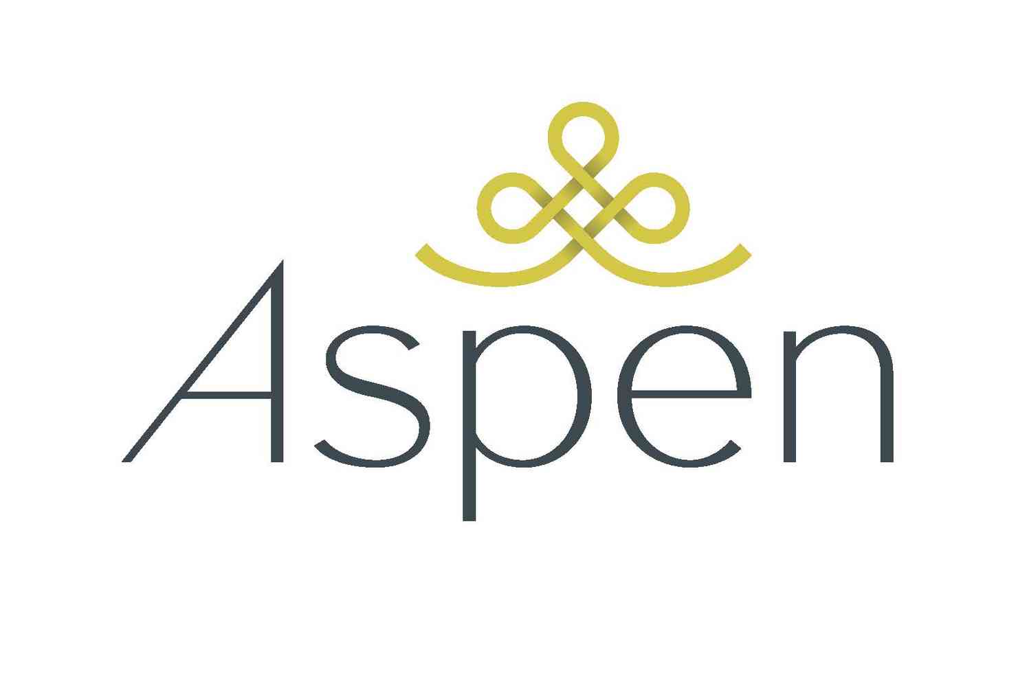 Aspen People logo