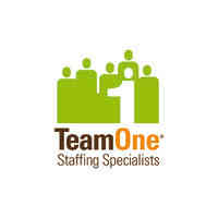 Team One Staffing Specialists Belgium logo