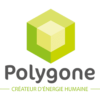 Polygone Groupe logo
