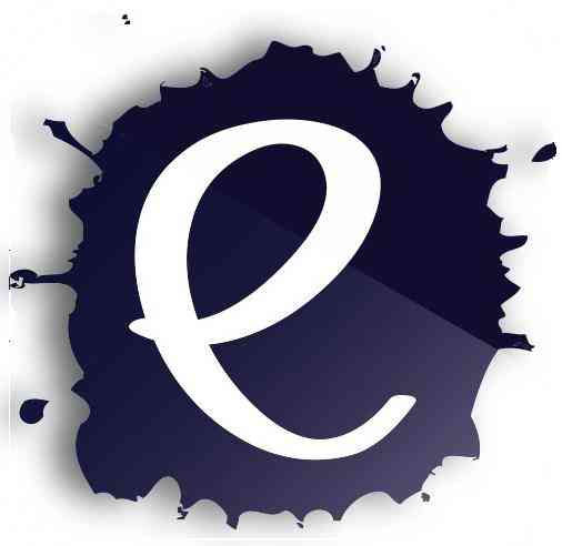 einkstain logo