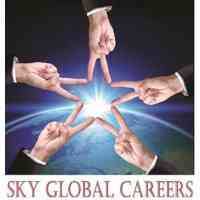 SKY Global Careers Pte Ltd logo