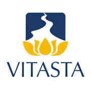 Vitasta Consulting Pvt Ltd logo