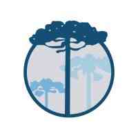 Murayama e Maciel Consultores Associados logo