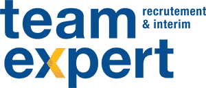 TEAMEXPERT logo
