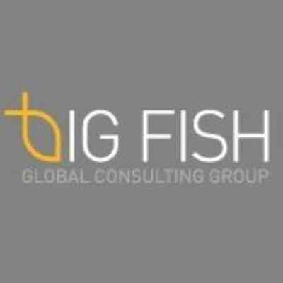 Big Fish Global Consulting Group logo