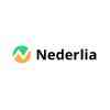 Nederlia = Executive Search for Startups logo