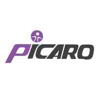 Picaro - Recruitment & Sourcing for Hitech logo