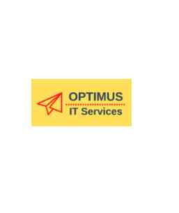 OPTIMUS IT SERVICES logo