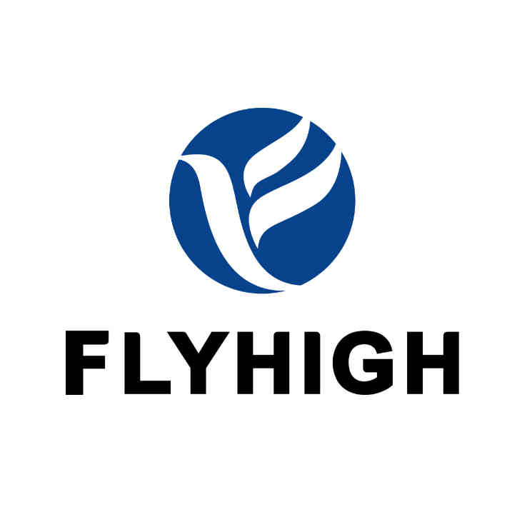 FlyHigh Group, Inc. logo