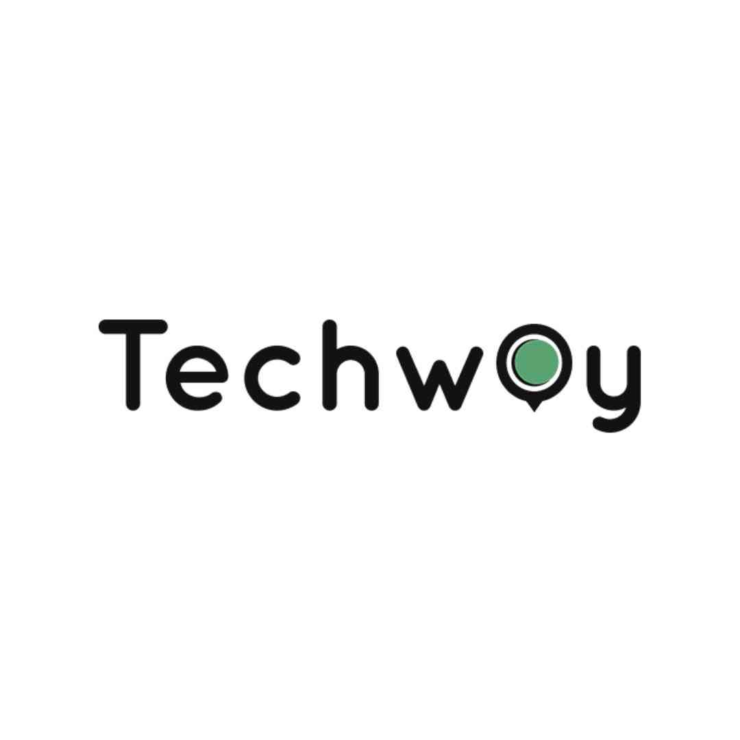 Techway Placements logo