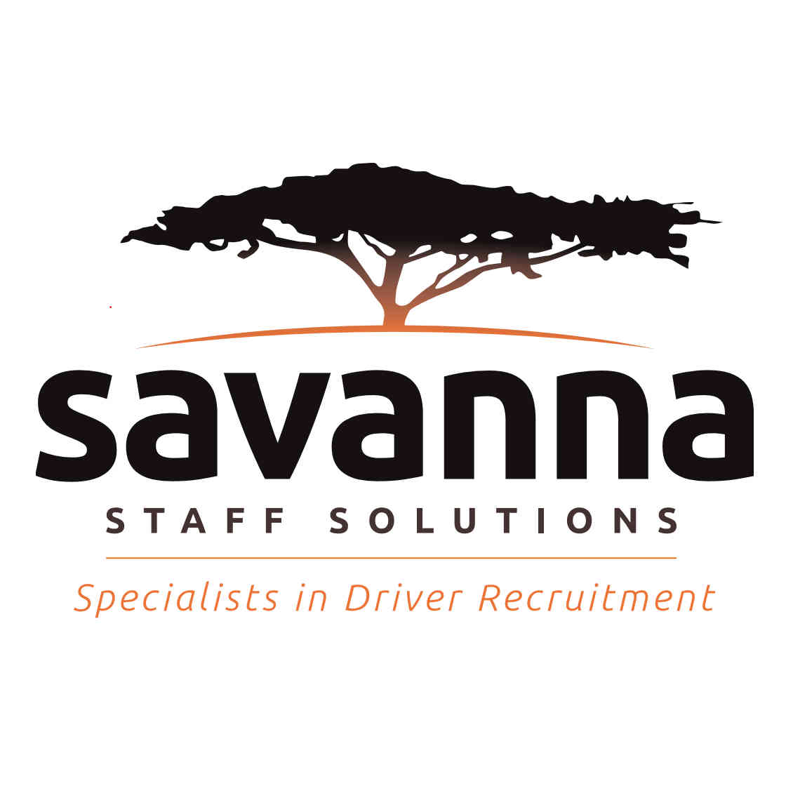 SAVANNA STAFF SOLUTIONS LTD. logo