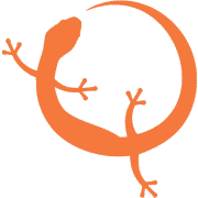 Ambacia logo