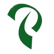 Pioneer Global Recruitment logo