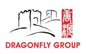 Dragonfly Group HR Consulting logo