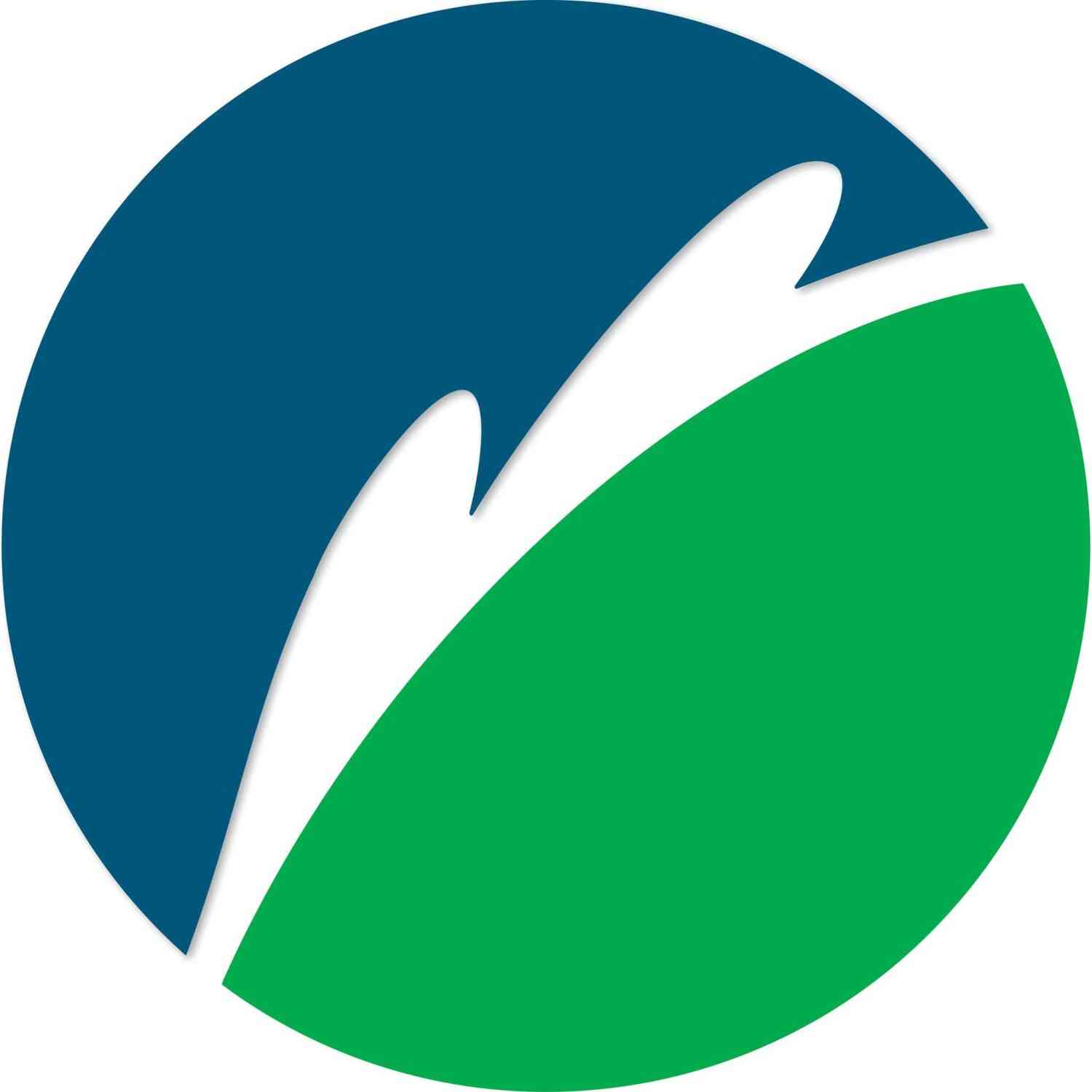 The Lucas Group | Australia logo