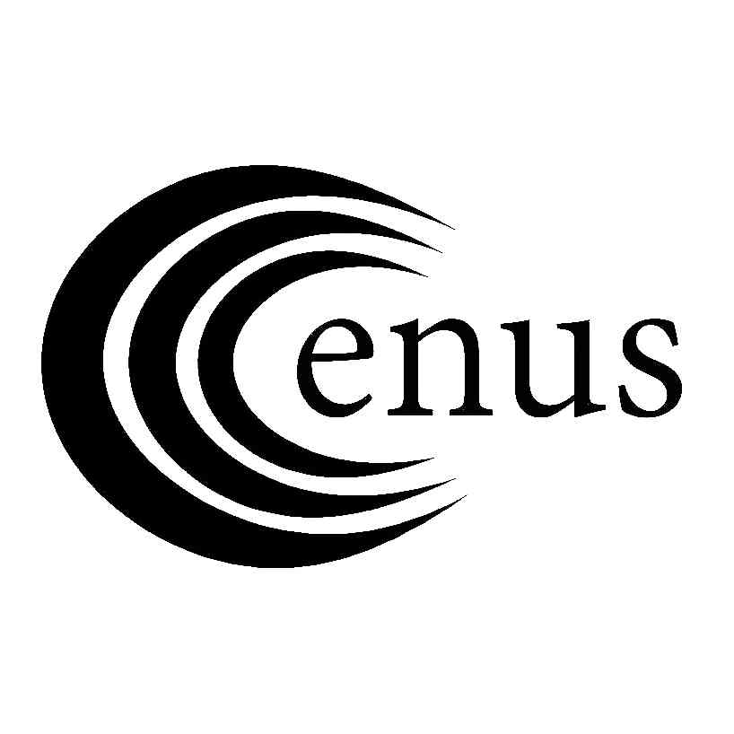 Cenus Consulting logo