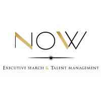 Now Consulting logo