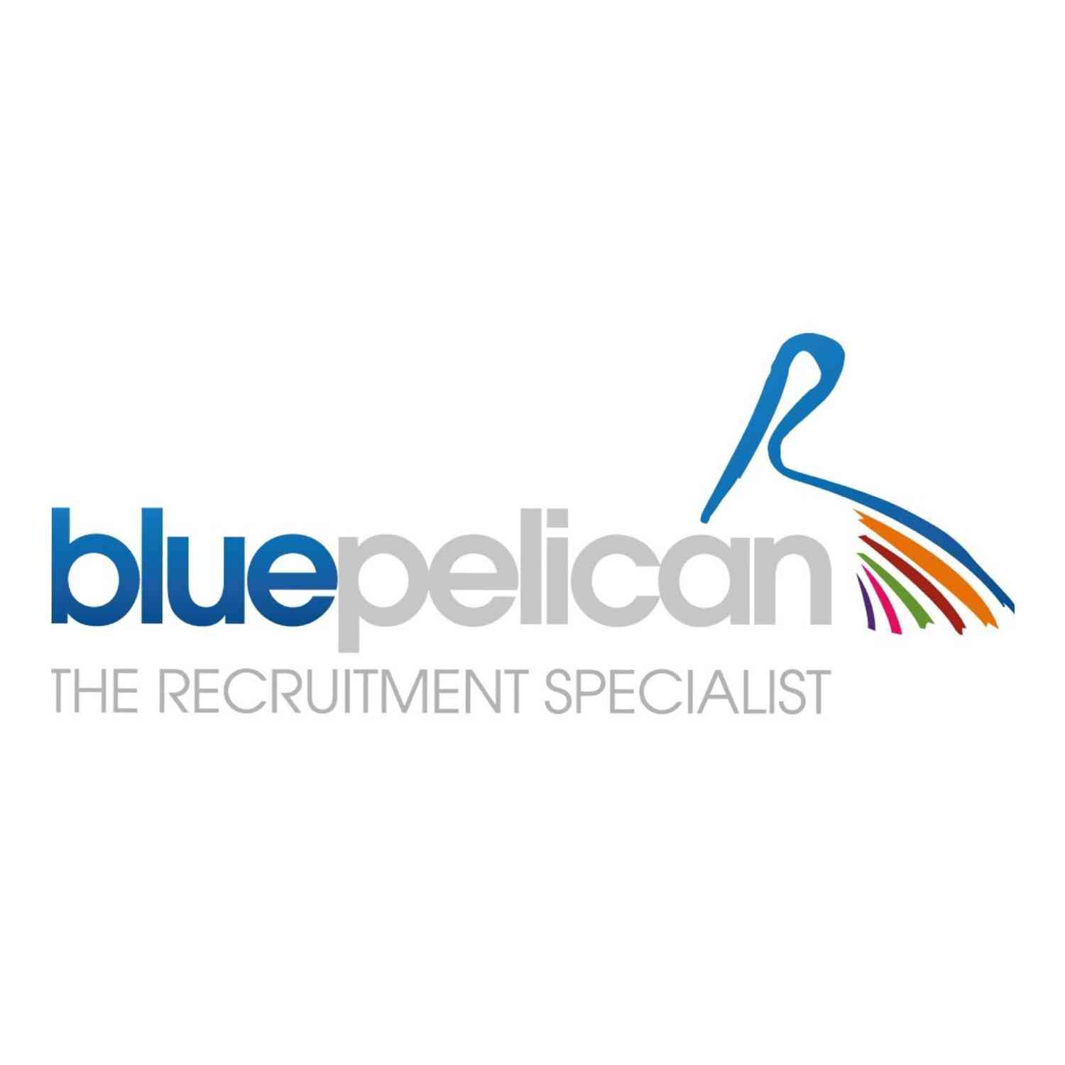 Blue Pelican Consulting Limited logo