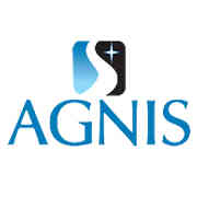 AGNIS Executive Search logo