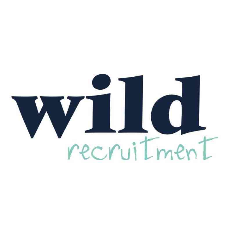 Wild Recruitment Ltd logo