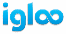 Igloo Staffing Solutions logo