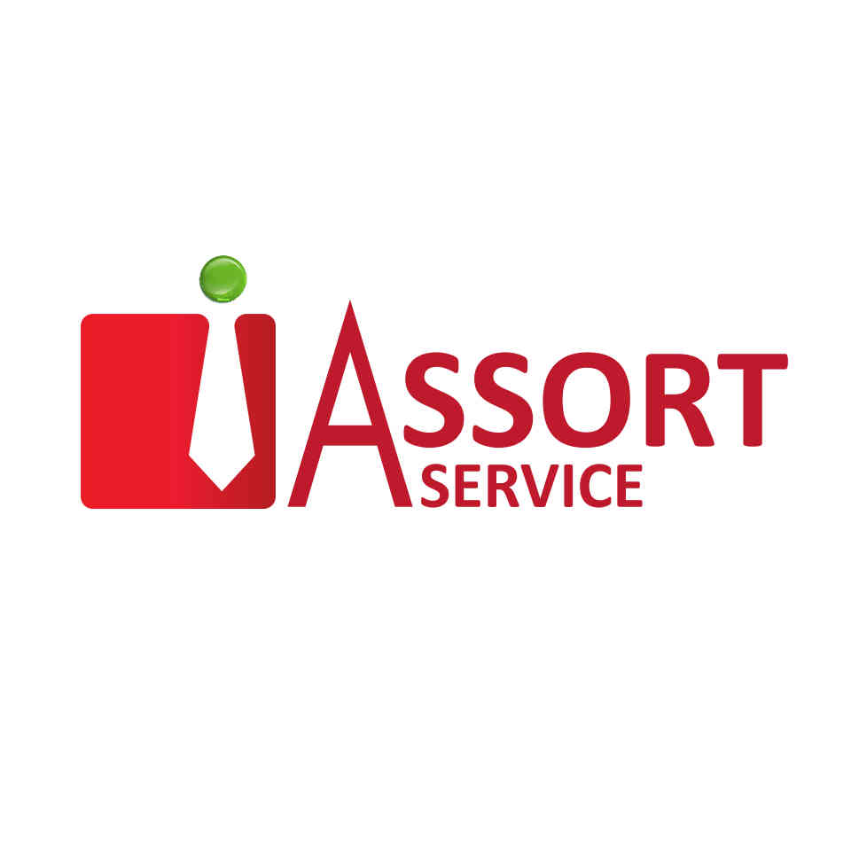 Assort 1 Corp Services Limited logo