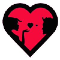 Find Singes Online logo