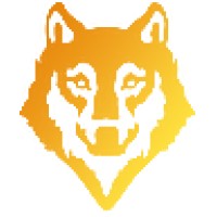 Co50PlusHeadHunter logo