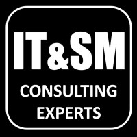IT&SM CONSULTING EXPERTS logo