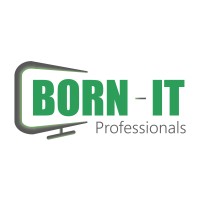 BORN-IT Professionals logo