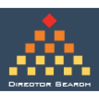 Director Search, LLC logo