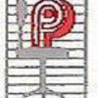 PERFECT PLACER logo