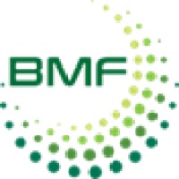 BMF Group logo