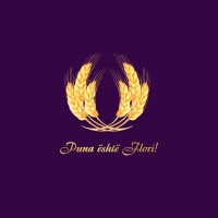 Pune.al logo