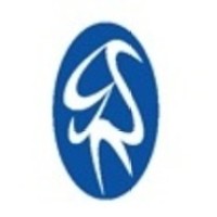 GSN Consulting logo