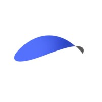 Services Ally Recruitment & Placement logo
