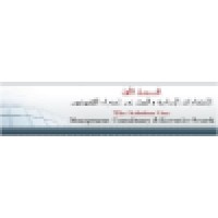 The Solution One for Management Consultancy & Executive search logo